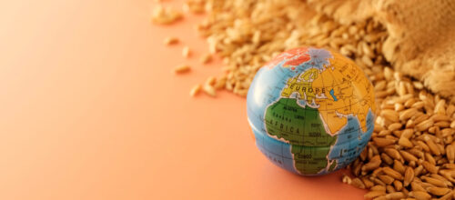 molino exportaciones img